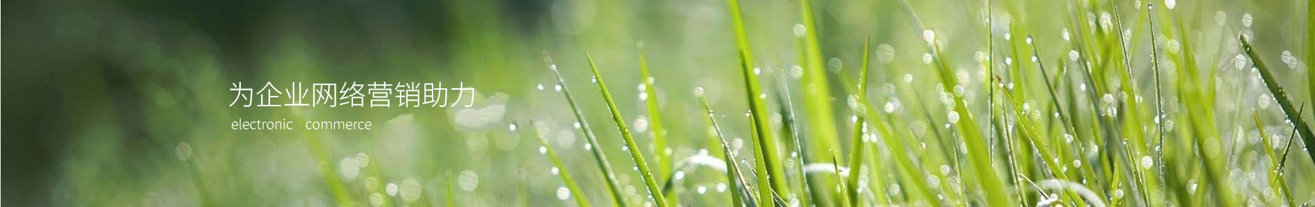 ൺյ޹˾